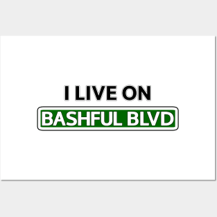 I live on Bashful Blvd Posters and Art